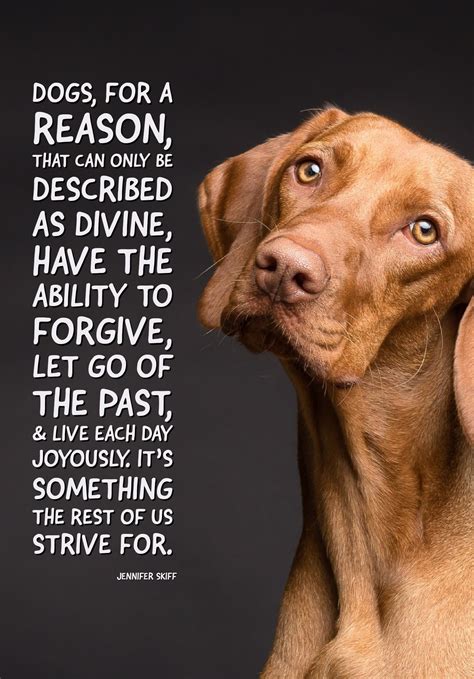 Quotes About Dogs