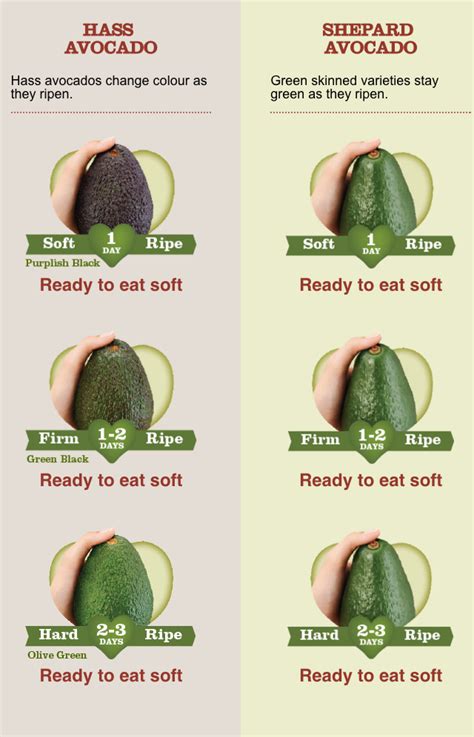 How To Tell If An Avocado Is Ripe Artofit