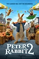Peter Rabbit 2: Conejo En Fuga (2021) - Pelis & Series