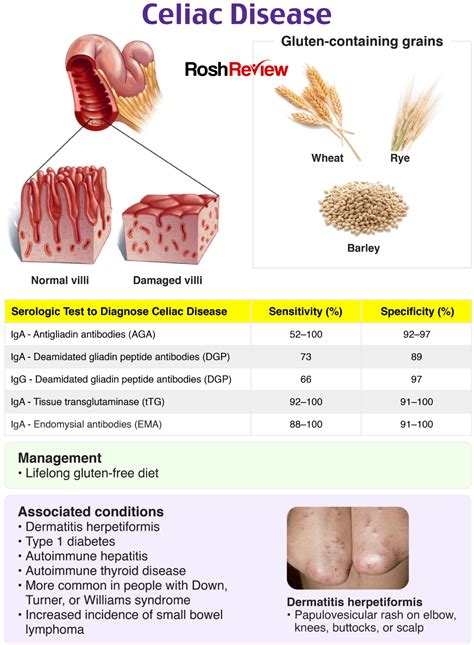 Wheat Allergy And Celiac Disease Gluten Intolerance Symptoms Checklist