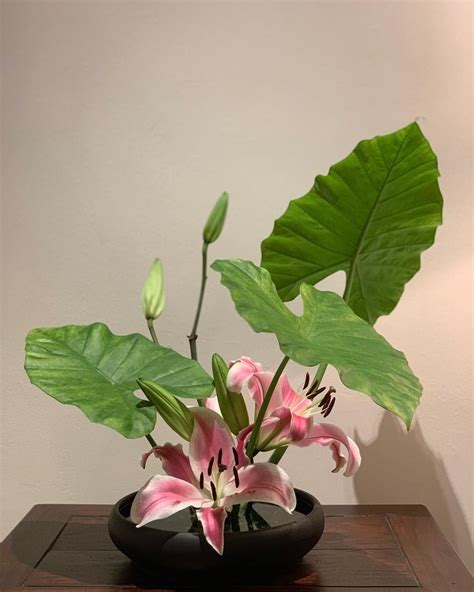 Make Ikebana Not War Oriental Lilies With Elephants Ears In