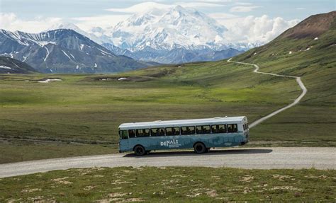 Fairbanks And Denali Backcountry Northern Lights Escape Alaska