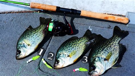 Triple Jig Crappie Rig Catches 3 Fish At One Time 30 Day Challenge Ep