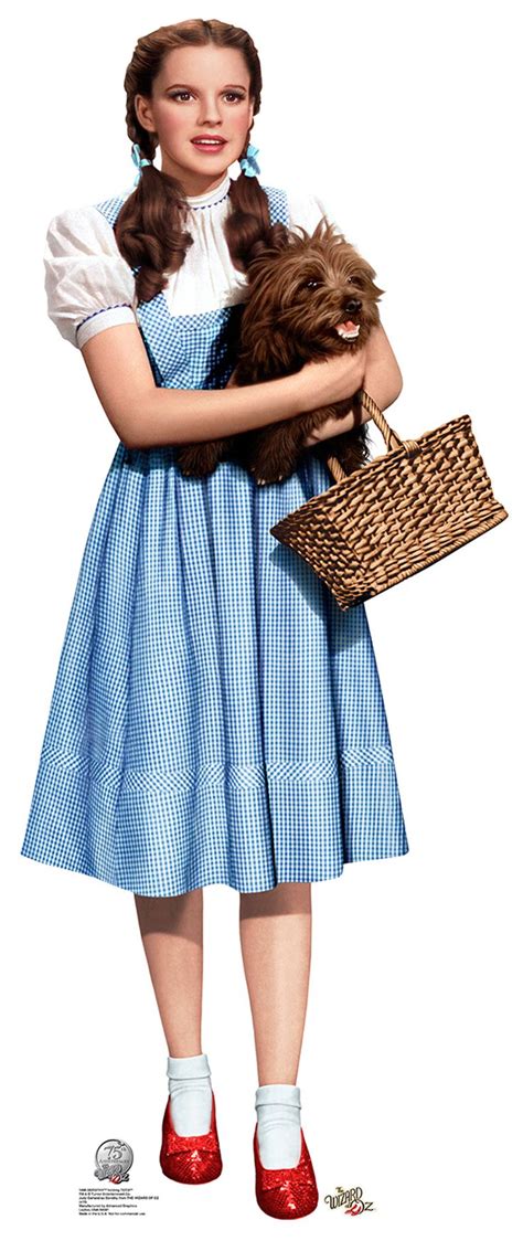 Dorothy And Toto Dorothy Wizard Of Oz Dorothy Costume Dorothy Halloween Costume