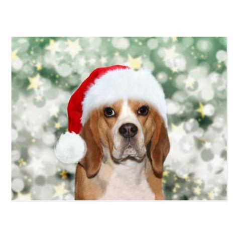 Beagle Wearing A Santa Hat Christmas Postcard Christmas