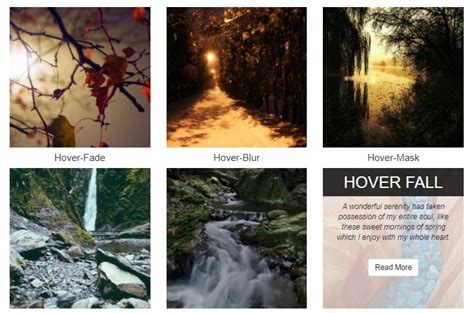 Bootstrap Image Hover Effect Examples Csshint A Designer Hub