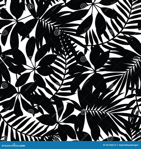 Black And White Tropical Leaves Seamless Pattern Stock Vector Image