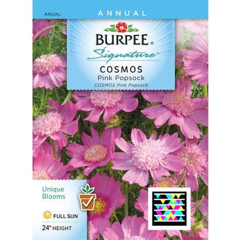 Burpee Cosmos Flower Seed Packet At