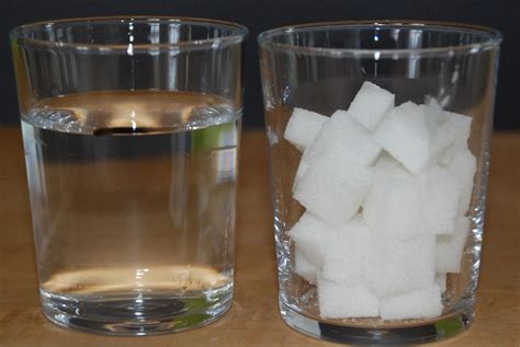 Zucker Rein Steigt Das Wasser Nela Forscht Naturwissenschaft Für