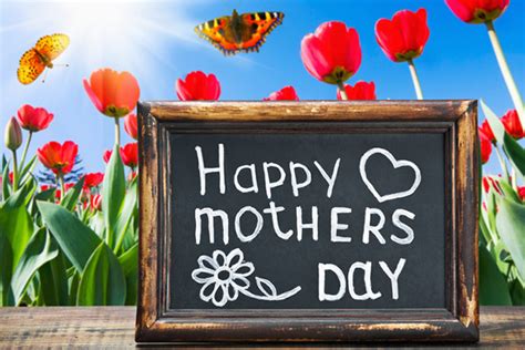 6 Reasons To Celebrate Mothers Day Online Star Register