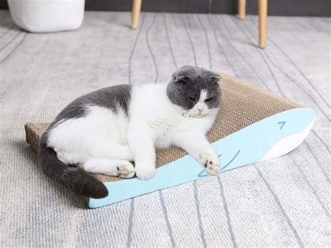 Best 6 Curved Cat Scratchers To Purchase Reviewed By Expert
