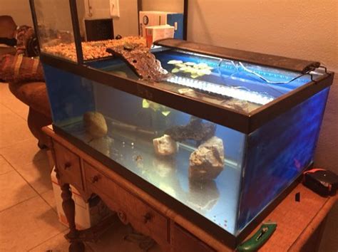 Pet Turtle Check Out This Turtle Topper Above Tank Basking Platform