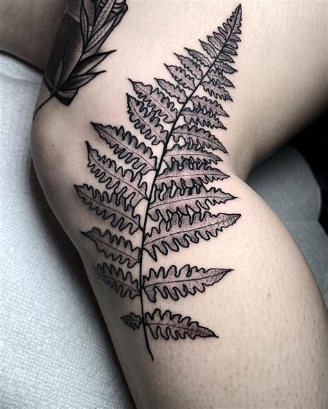 Https://tommynaija.com/tattoo/fern Leaf Tattoo Designs