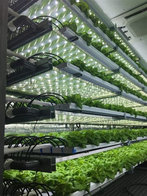Take A 3d Tour Of A Vertical Farm Packed Inside A Shipping Container In