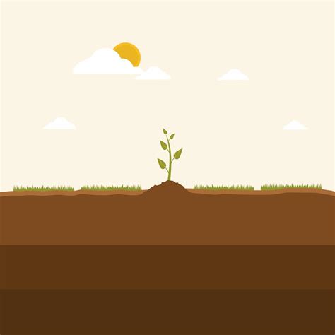 Little Green Sprout Grows On The Soil Sprout In Ground Rising Up On