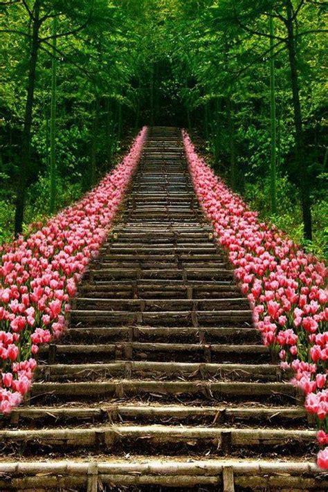 Gorgeous 30 Beautiful Garden Stairs Ideas 30