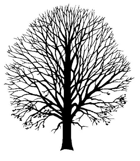 The Silhouette Of A Tree With No Leaves On It Is Shown In Black And White