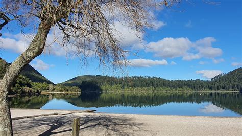Blue Lake Lake Tikitapu Rotorua Nz