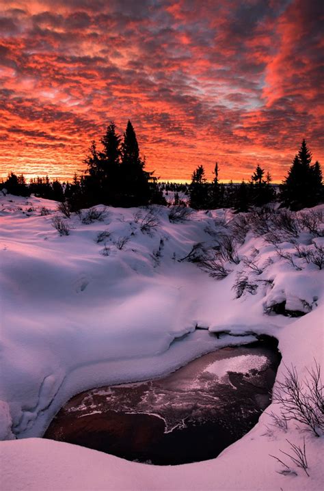 Winter Sunset Norway By Jørn Allan Pedersen Winter Scenery Winter