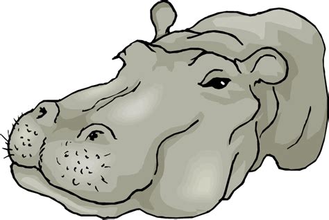 Free Hippo Clipart
