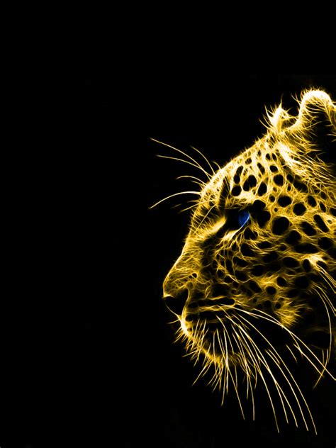 Free Download Animals Gold Spirit Leopards Black