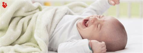 A Quick Take On Thrush In Babies Motherhood Chaitanya Hospital