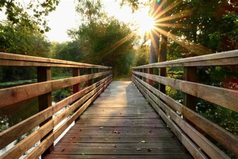 158600 Wooden Bridge Stock Photos Pictures And Royalty Free Images