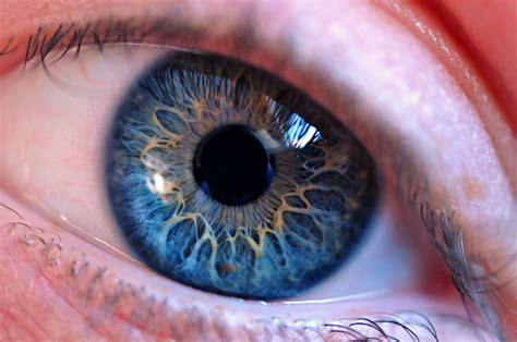 Eye Photography Macro Google Search Beautiful Eyes Color Stunning