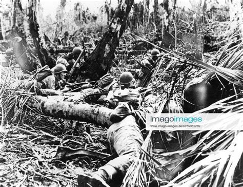 Using Fallen Coconut Trees For Cover Us Marines Hunt For Japanese