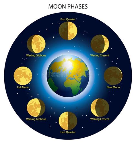 Moon Phases Stock Vector Illustration Of Light Background 81609747