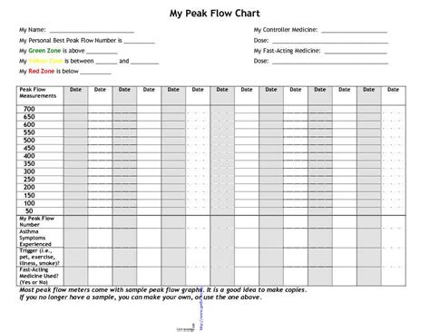 Peak Flow Tracking Chart Download For Free Pdf Or Word