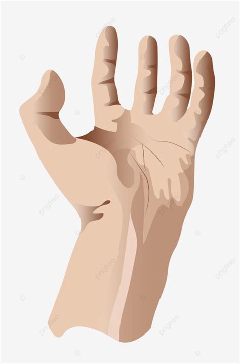 Finger Hand Gesture Vector Hd Png Images Human Left Hand Gesture