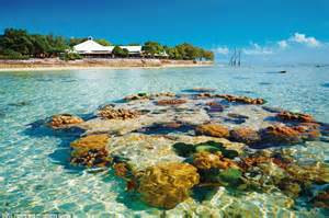 Heron Island Resort In The Great Barrier Reef Up For Sale