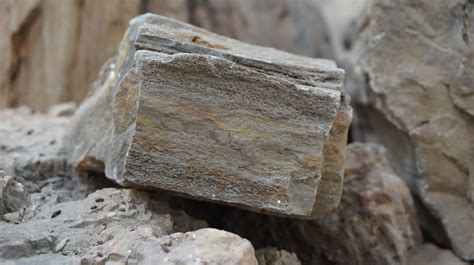 무료 이미지 자연 록 목재 트렁크 벽 고대의 돌담 자료 지질학 둥근 돌 조각 본질적으로 고대 역사