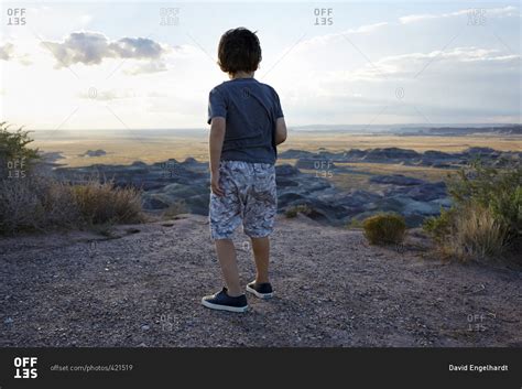 Back View Of Boy Standing At Desert Overlook Stock Photo Offset