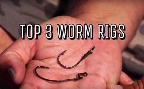 Find Out The Top Worm Rigs And How To Fish Them Bass Fishing Fish