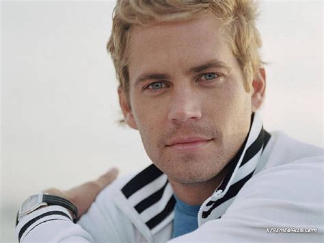 Free Download Paul Walker Cute Pretty Blue Eyes Male Blonde Hair