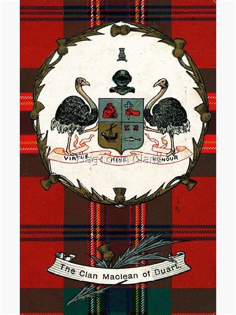 Clan Maclean Of Duart Vintage Tartan Crest Badge Poster For Sale By