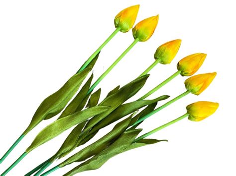 Bukiet TulipanÓw Kwiaty Tulipany Tulipan 6szt 13395906611 Oficjalne Archiwum Allegro