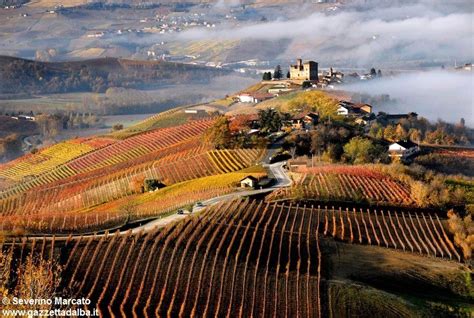 Colline Panorama Langhe Roero Monferrato Unesco 6 Wine Tour