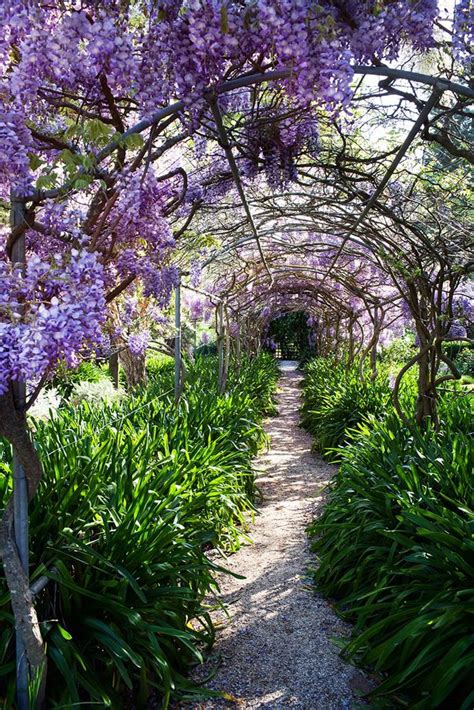 25 Of The Best Gardens From Australian House And Garden Australian