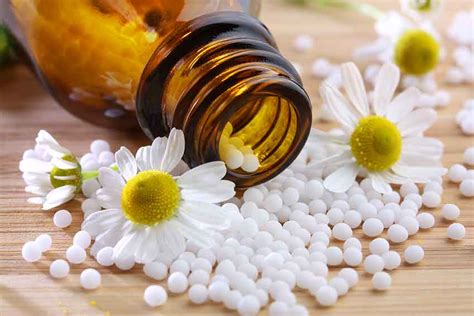 Homeopatía ¿qué Es Y Para Qué Sirve Dr Giovanni Zapata