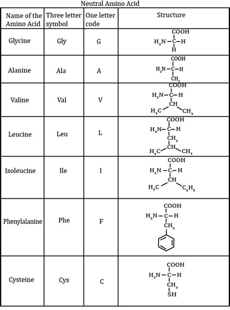 Which Of The Following Is A Neutral Amino Acid