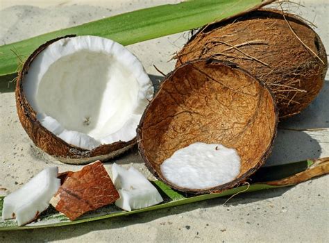 Storing Fresh Coconut How To Purchase Open And Use Coconut Meat
