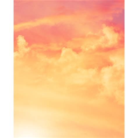 Tropical Sunset Printed Backdrop | Backdrop Express