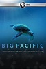 Big Pacific | TVmaze