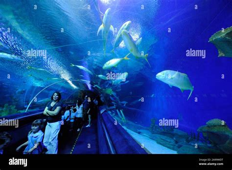 Aquaria Klcc Kuala Lumpur Malaysia Stock Photo Alamy