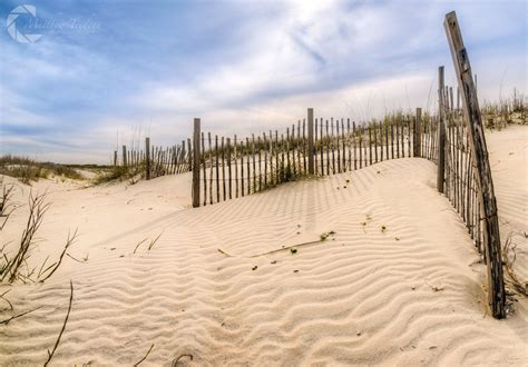 Beach Dune Fence