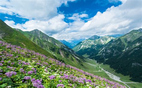 The clean air, peace and tranquillity and spectacular scenery ensure holiday destinations. Alps in Tyrol, Austria Image - ID: 236855 - Image Abyss