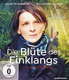 Die Blüte des Einklangs: DVD oder Blu-ray leihen - VIDEOBUSTER.de